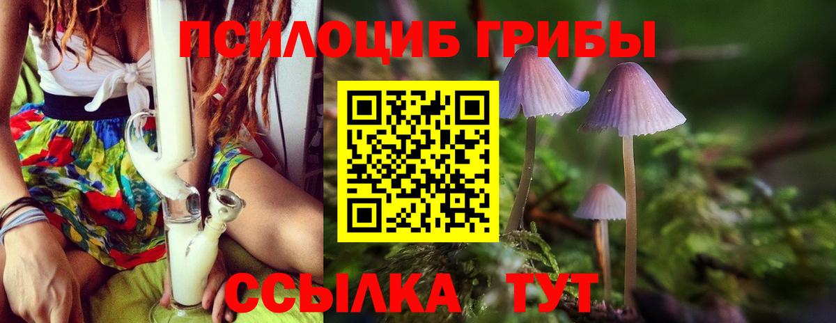 Псилоцибиновые грибы MAGIC MUSHROOMS Старый Оскол